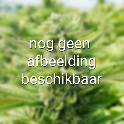 Nog geen afbeelding