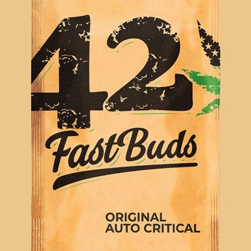 Original Auto Critical - Fastbuds
