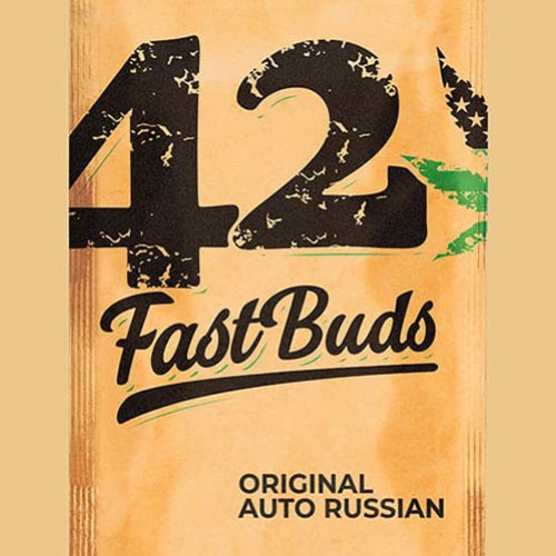 Original Auto Russian - FastBuds