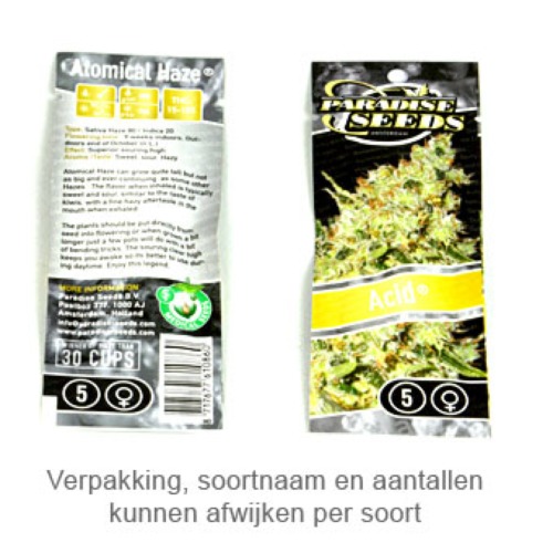 Sensi Star - Paradise Seeds verpakking