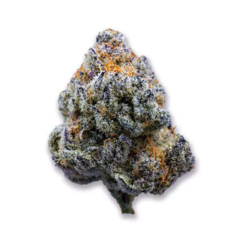 Platinum Mimosa Cookies - Growers Choice