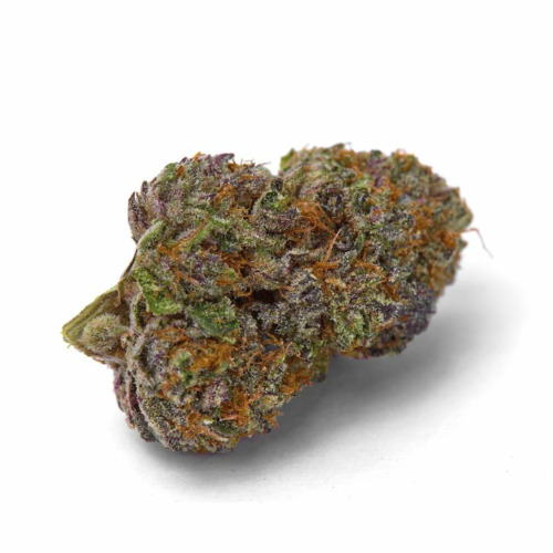 Purple Dosi Punch - Growers Choice Top