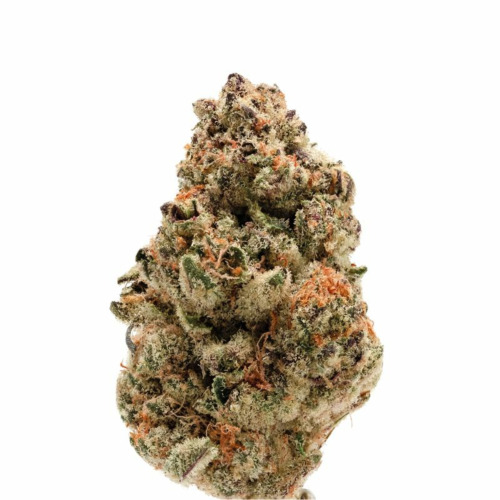 Rainbow Candy - Growers Choice