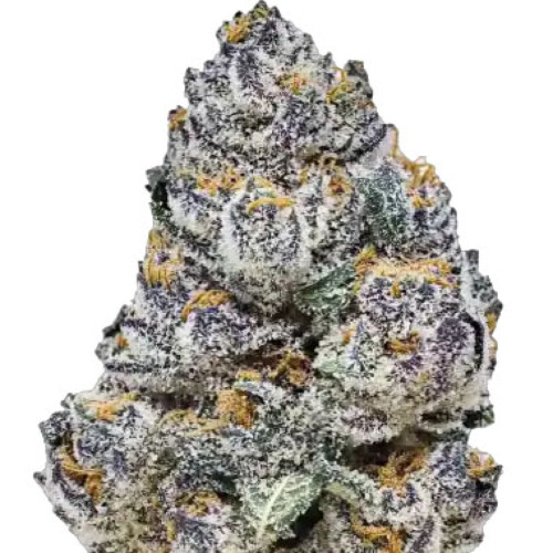 Rainbow Melon - FastBuds