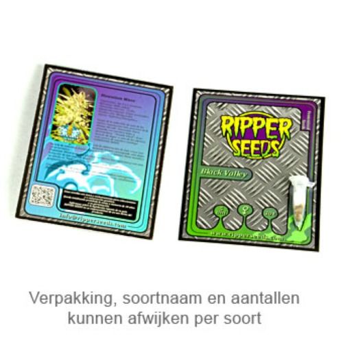 Criminal+ - Ripper Seeds verpakking