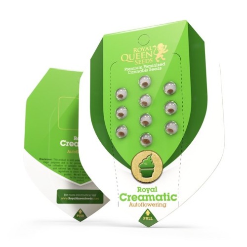 Royal Creamatic - Royal Queen Seeds verpakking