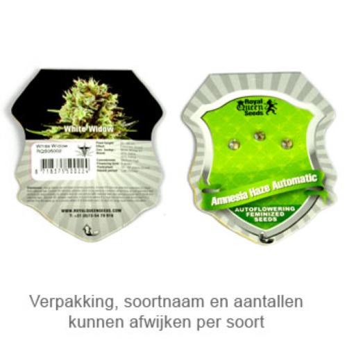 HulkBerry - Royal Queen Seeds verpakking