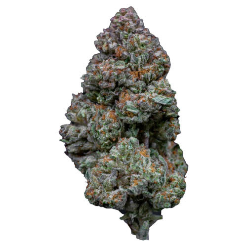 RS11 - Growers Choice