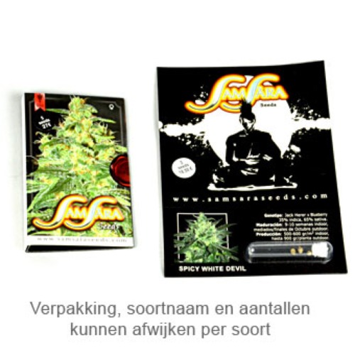 Thunder Bloody Mary - Samsara Seeds verpakking
