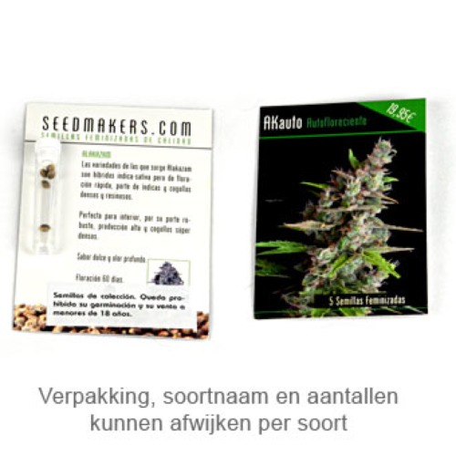 Critical - Seedmakers Seeds verpakking