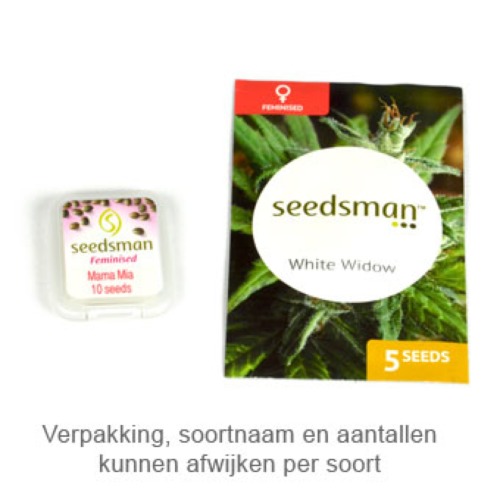 White Widow - Seedsman verpakking