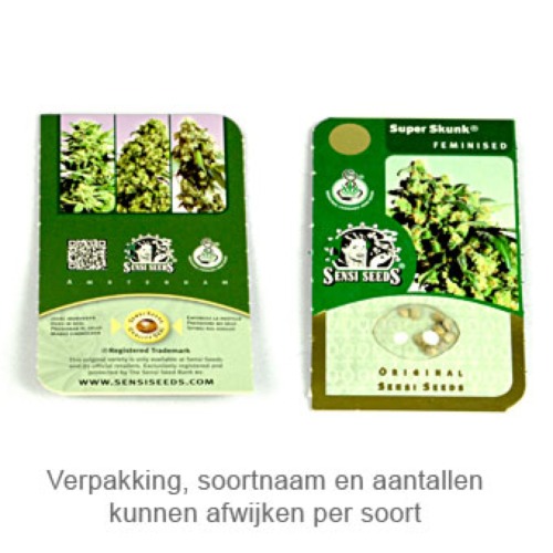 Jack Flash 5 - Sensi Seeds verpakking