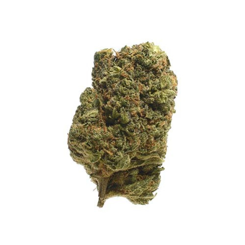 Spicebomb - Amsterdam Genetics Mooie Top