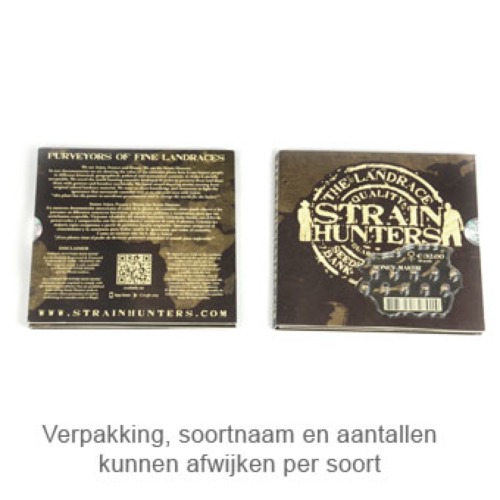 Damnesia Auto - Strain Hunters verpakking