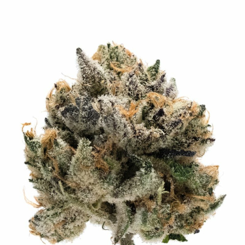 Tropical Cookies - Growers Choice Top