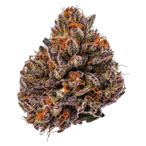 Tropicana Cherry Triploid - Growers Choice