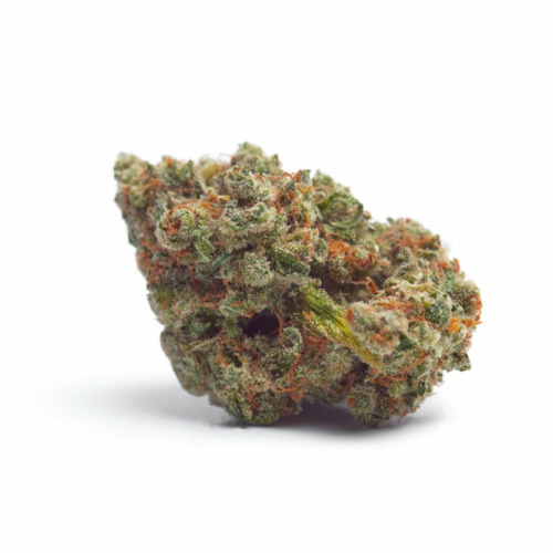 Tropicana Weddingcake Auto - Growers Choice
