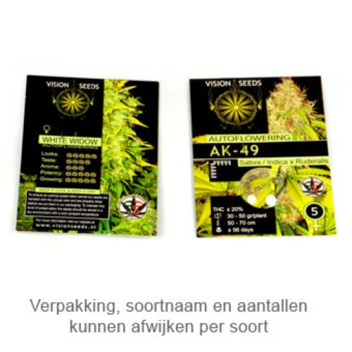 Super Skunk Auto - Vision Seeds verpakking