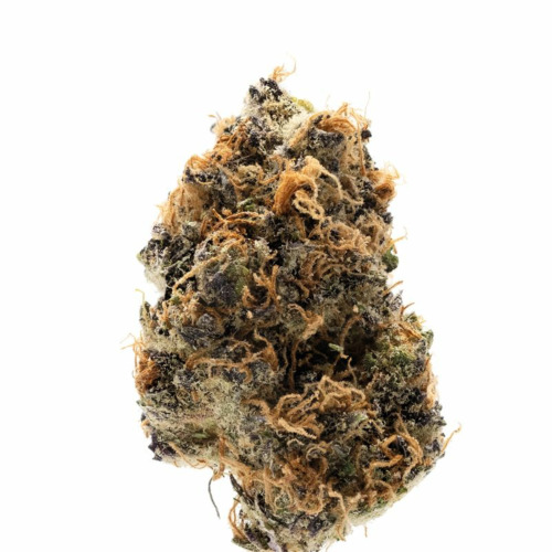 Watermelon Punch - Growers Choice