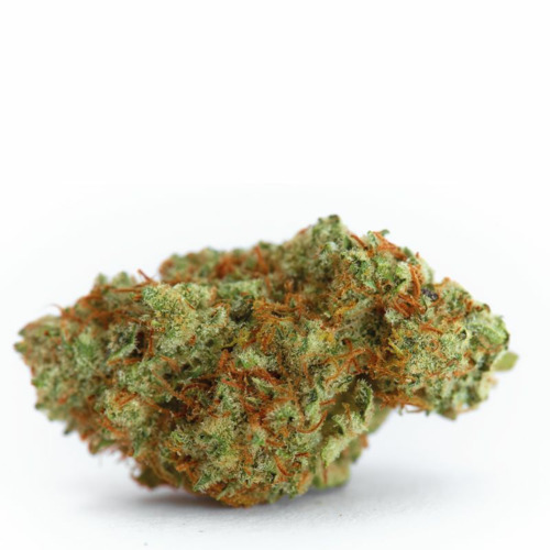 White Fire Gelato - Growers Choice
