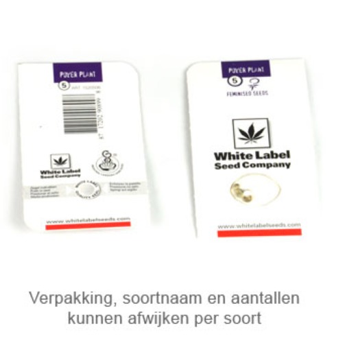 White Diesel - White Label verpakking