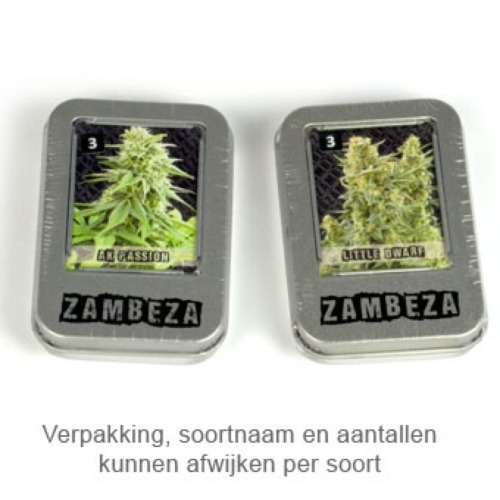 Northern Lights XL - Zambeza Seeds verpakking