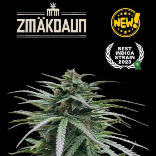 Zmakdaun - Seedstockers