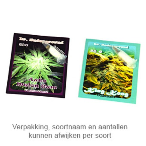 Melon Gum Dr Underground