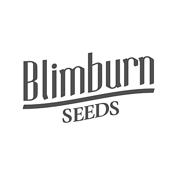 Blimburn Seeds wietzaadjes