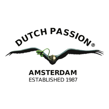 Dutch Passion wietzaadjes