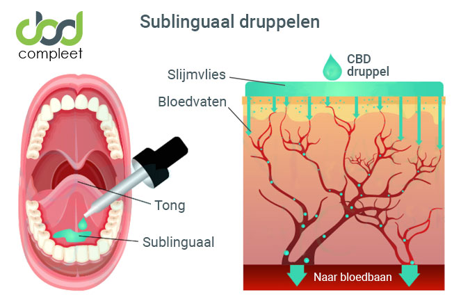 Sublinguale toediening - CBD olie direct onder de tong druppelen. CBD olie kun je het beste direct onder (sublinguaal) de tong druppelen.