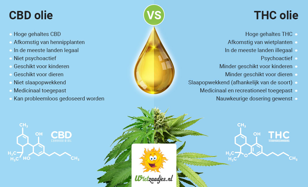 Het verschil tussen CBD olie en Wietolie. Het verschil tussen CBD olie en Wietolie (THC olie).