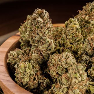 Haze wiet geeft een uplifting en cerebraal effect Van het roken van Haze wordt je energiek, vrolijk, creatief en sociaal
