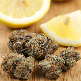 Lemon Haze wiet Lemon Haze wiet