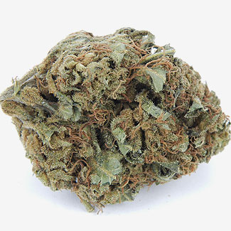 OG Kush wiet OG Kush is een uitzonderlijk sterke marijuana.