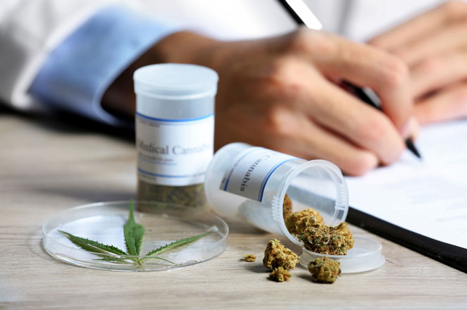Medicinale cannabis is op doktersrecept verkrijgbaar Medicinale cannabis is op doktersrecept verkrijgbaar