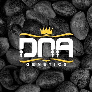 Het beeldmerk van de DNA Genetics cannabis zaden De verpakking van de RQS wietzaadjes