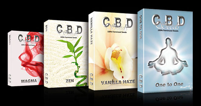 Verpakking CBD seeds wietzaden Verpakking CBD seeds wietzaden