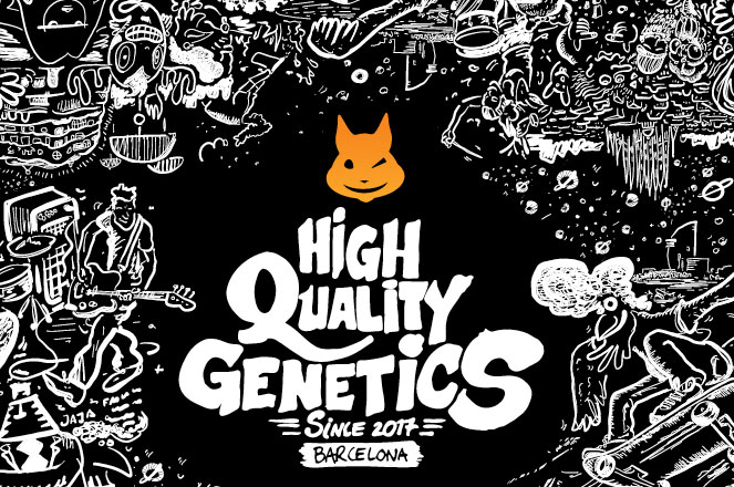 Seedstockers Seeds cannabis zaden met hoge kwaliteit genetica. Seedstockers Seeds - Hoge kwaliteit genetica.