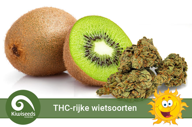THC-rijke wietsoorten THC-rijke wietsoorten
