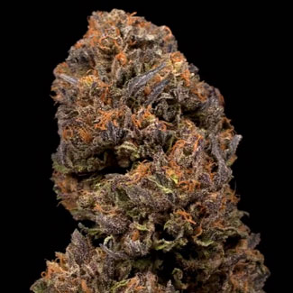 CBD rijke wiet van Dinafem CBD rijke wiet van Dinafem