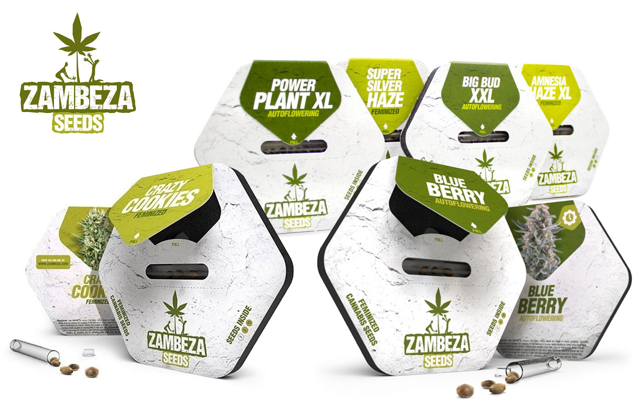 De verpakking van Zambeza Seeds cannabis zaden.