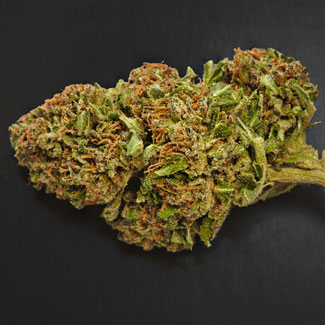 Super Skunk is een buitengewoon sterke marijuana.