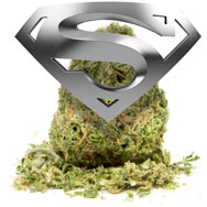 Super Skunk
