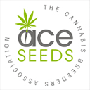 Ace Seeds wietzaadjes