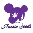 Anesia Seeds