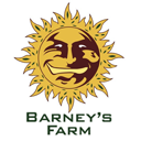 Barney’s Farm wietzaadjes