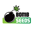 Bomb Seeds wietzaadjes
