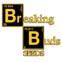 Breaking Buds Seeds wietzaadjes