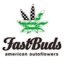 FastBuds autoflower wietzaden FastBuds zaden